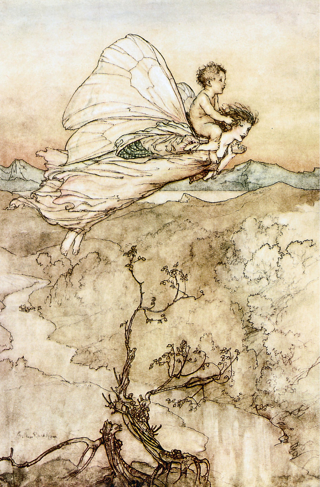 Midsummer Nights Dream VI Arthur Rackham 1908. Vintage Reproduction ...