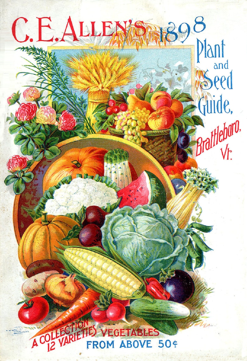 May include: A vintage advertisement for C.E. Allen's 1898 Plant and Seed Guide, featuring a colourful illustration of a basket overflowing with fresh vegetables, including pumpkins, corn, watermelon, cauliflower, and cabbage. The text "A Collection 12 Varieties Vegetables From Above 50&cent;" is printed at the bottom.