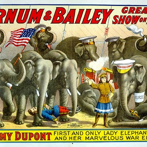Barnum Bailey   Circus Vibrant Colors! 11 x 17 Reproduction Print