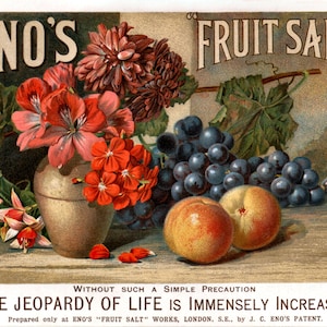 Fruit Salt 1894 Enos 11x17  Advertising  Reproduction Print Vintage