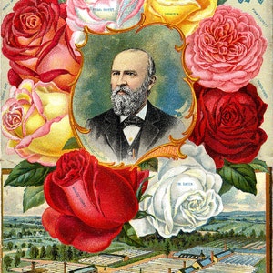 ビンテージ シード カンパニーのカバー複製プリント! Dingee Seeds の広告!