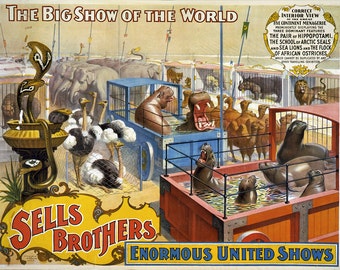 Sells Brothers 1895b Circus Vibrant Colors 11 x 17 Reproduction Print Vintage