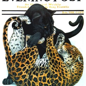 1926 saturday evening post - Etsy 日本
