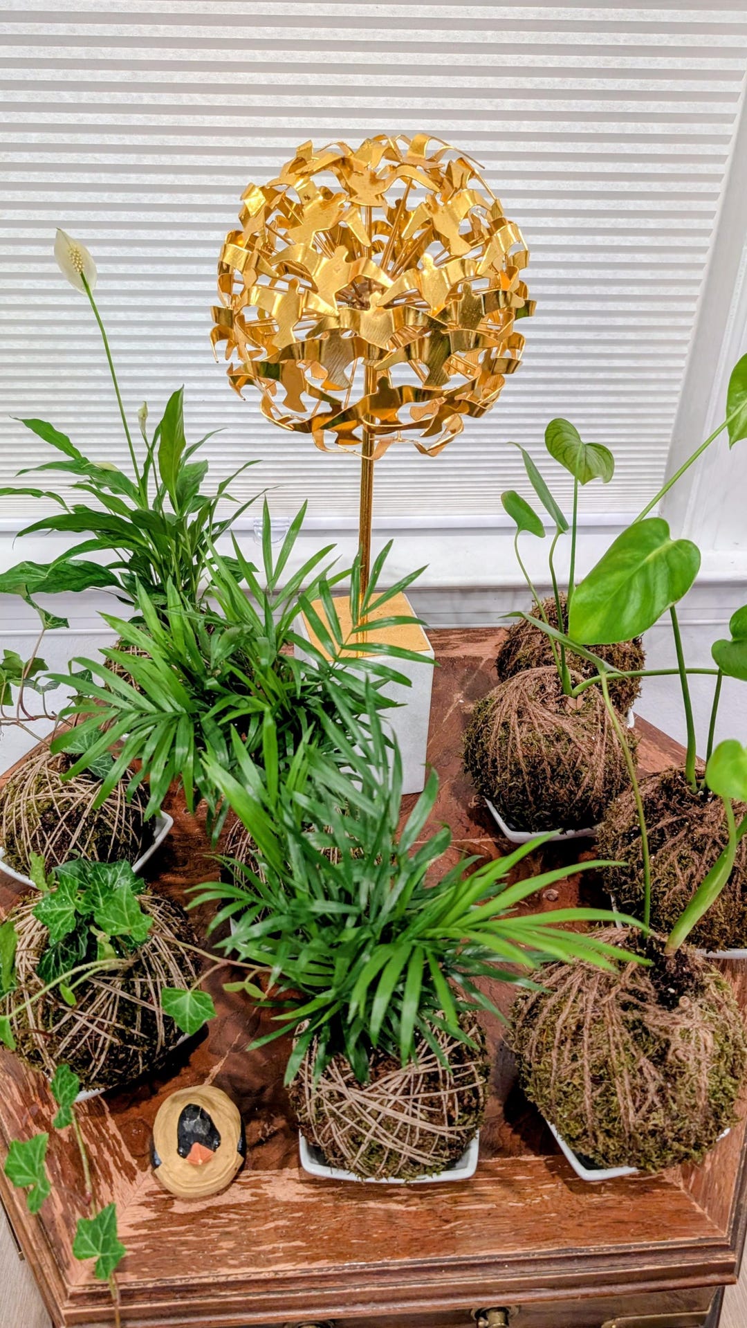 Assorted 'kokedama' Indoor Plant - Living Art - Handcrafted