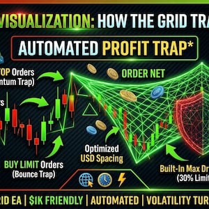 Safe Grid EA MT5 Low Risk Automated Forex Bot 1K Account Friendly Gold Robot XAU USD Expert Advisor MetaTrader 5 AlgoForge Software