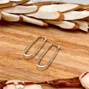 May include: A pair of silver-coloured, elongated oval hoop earrings. The earrings are displayed on a wooden surface with dried, light-coloured seed pods and a reddish-brown stem in the background. The earrings have a simple, minimalist design.
