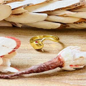 Könnte beinhalten: Ein goldfarbener Ring in Schlangenform mit einem roten Edelsteinauge. Der Schlangenring befindet sich auf einer hellbraunen Oberfläche, mit getrocknetem Pflanzenmaterial im Hintergrund. Ein einzigartiger Schmuck.