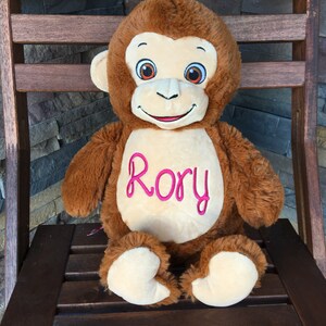 May include: A plush brown monkey with a cream-colored face, hands, and feet. The monkey has embroidered eyes and the name "Rory" in pink script on its chest. It is sitting on a wooden chair.