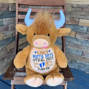 May include: A plush brown Highland cow stuffed animal with blue horns and embroidered details. The cow has a pink nose and a blue heart with the name "Kayce Morris Terry" and birth details: April 16, 2023, 5 lbs 4 oz, 18 3/4 inches, 7:49 PM.