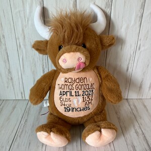 May include: A brown plush Highland cow with white horns and a pink tongue sticking out. The cow has embroidered details and text that reads "Rayden Thomas Gonzalez, April 11, 2023, 6 lbs 14 oz, 19 inches".