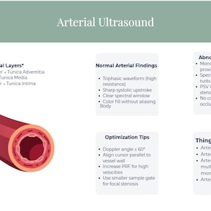 May include: An educational diagram titled "Arterial Ultrasound" with a cross-section of an artery, and text detailing arterial layers, normal and abnormal findings, optimization tips, and key points.