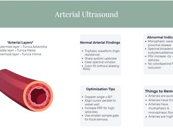 Póster de ecografía vascular / Referencia rápida de Doppler arterial / Guía de estudio para ecografistas / Hoja de referencia dúplex / Cuadro clínico imprimible