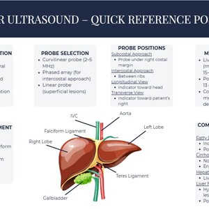 May include: A medical poster titled "LIVER ULTRASOUND - QUICK REFERENCE POSTER" with diagrams and text. It includes sections on patient preparation, probe selection, probe positions, normal measurements, Doppler assessment, and common pathology signs.