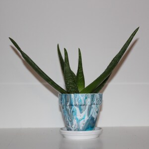 May include: A potted aloe vera plant with long, green leaves. The plant is in a small, blue and white marbled ceramic pot, sitting on a white saucer. The background is a plain white wall.