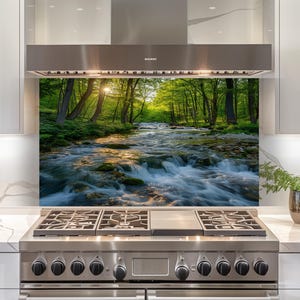 May include: A stainless steel range with a glass backsplash featuring a scenic river flowing through a lush green forest. The backsplash is the focal point, with the range below and cabinets above.