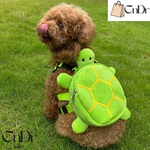 Könnte beinhalten: Ein brauner Hund trägt einen grünen, schildkrötenförmigen Rucksack mit gelben Akzenten. Der Hund befindet sich auf einer Grasfläche und hat ein Geschirr mit grünen Riemen. Der Rucksack hat einen Reißverschluss und ein niedliches Schildkrötengesicht.
