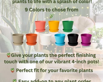 4-Inch Plant Pots with Drainage and Saucer – Vibrant Colors (Add-on Only)