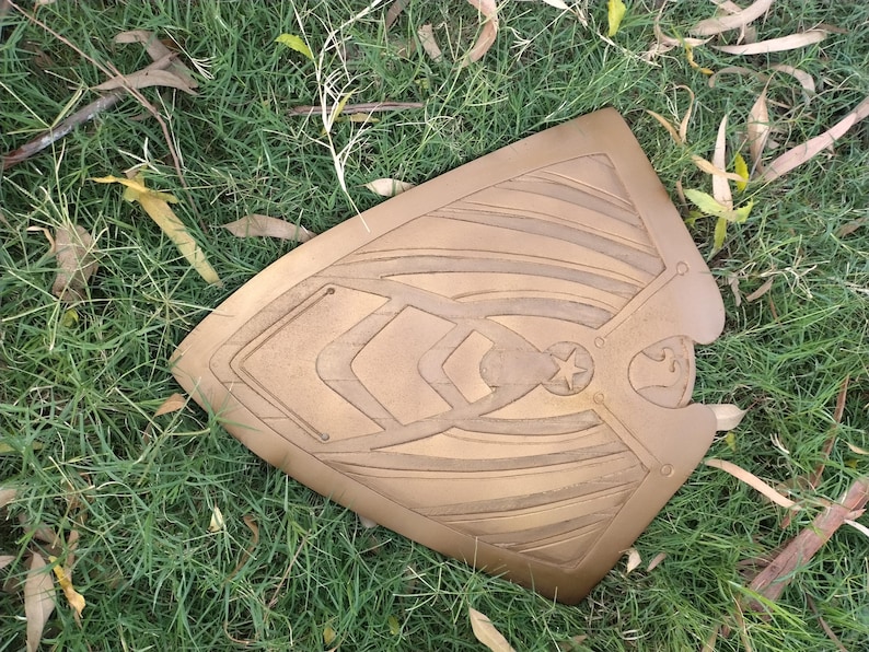 May include: A bronze-colored shield with intricate carved designs, including a star and geometric patterns. The shield is lying on a bed of green grass and leaves, suggesting an outdoor setting.