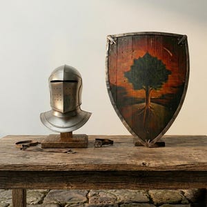 Conjunto de escudo y casco de Ser Duncan el Alto: armadura de cosplay de caballero medieval de NautiCrest