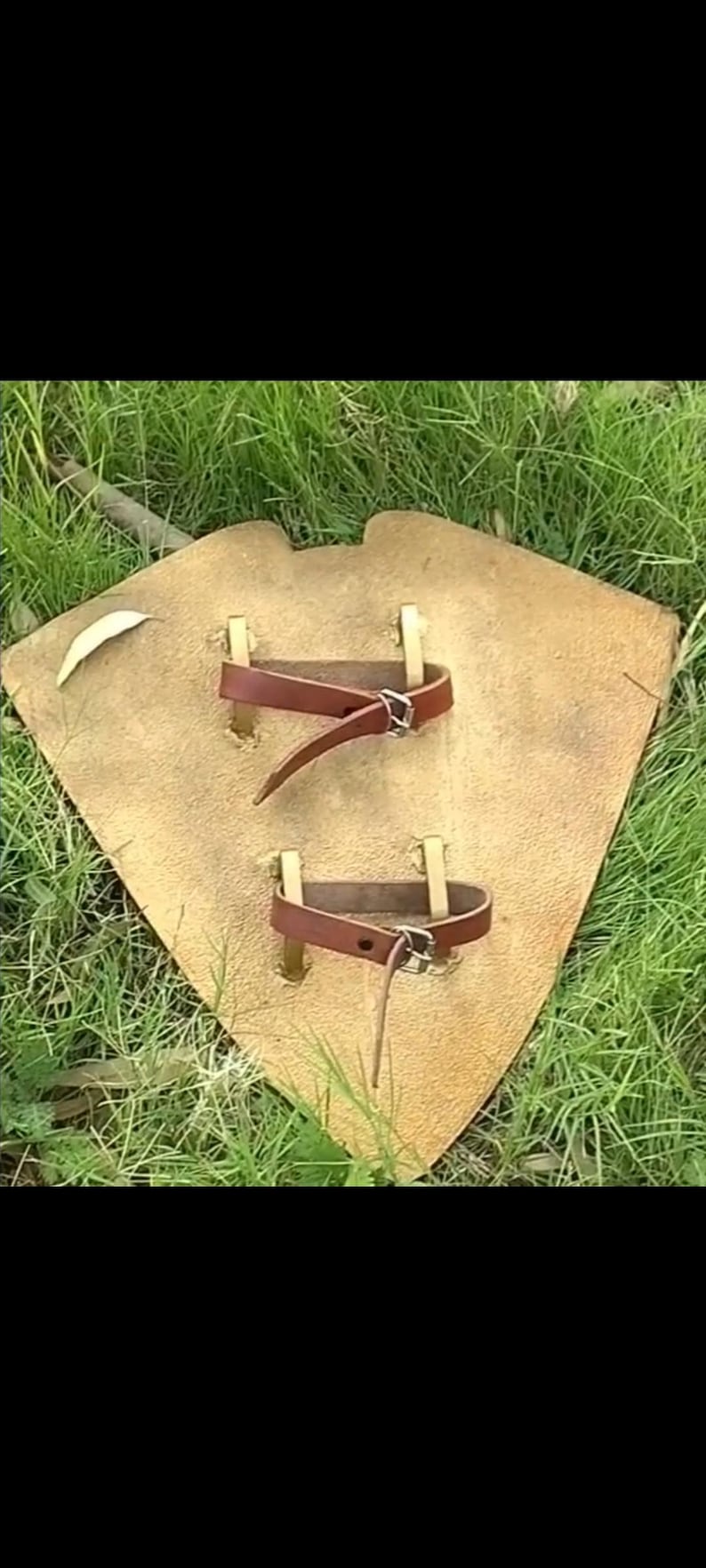 May include: A tan leather shield with two brown leather straps and brass rivets. The shield is diamond-shaped and rests on green grass.