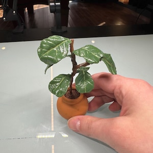 May include: A miniature potted plant with large, glossy green leaves and a brown stem. The plant is in a small, round, orange-brown pot. The plant is held in a person's hand.