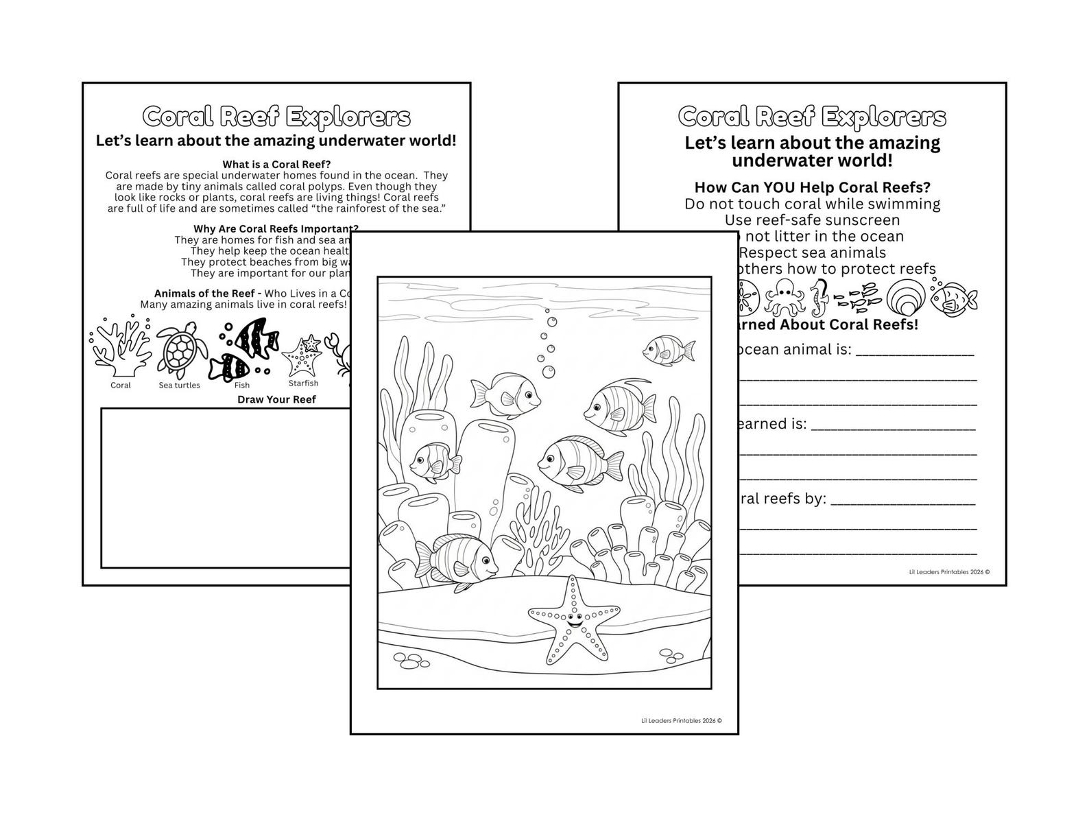 Daisy Girl Scout Journey Activity Packet | Nature Scavenger Hunt Cruise ...