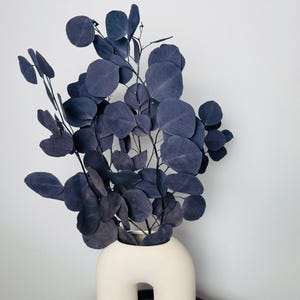 Könnte beinhalten: Eine dekorative Anordnung von dunkelblauen Eukalyptusblättern in einer cremefarbenen, modernen Vase. Die Vase hat ein einzigartiges, bogenförmiges Design. Die Blätter haben eine samtige Textur und bilden einen auffälligen Kontrast.