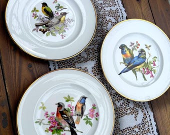 May include: Three white ceramic plates with gold rims, each featuring a different colorful bird illustration. The birds are perched on flowering branches. The plates are arranged on a wooden surface.