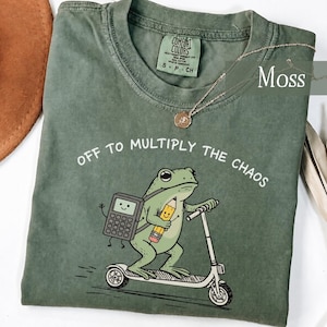 funny math teacher shirt, Comfort Colors frog scooter tee, algebra teacher gift, STEM teacher tee, math educator shirt, back to school gift