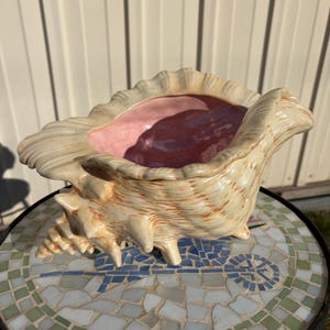 May include: A ceramic bowl shaped like a large conch shell with a glossy cream and tan exterior featuring textured ridges and spikes. The interior of the shell bowl is finished in a smooth, solid light pink glaze.