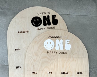 One happy dude, first birthday photo display board, custom one year of baby board, milestone photo board, cool dude decor, checkered invite