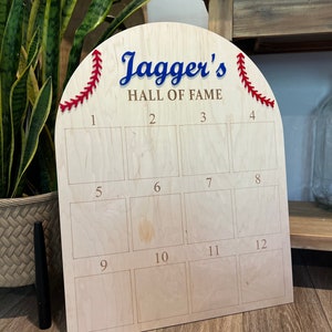 personalized hall of fame first birthday photo display board, custom one year of baby board, milestone photo board, baseball cake, rookie