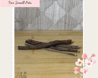 Apple Chew Sticks For Hamsters Or Other Small Pets