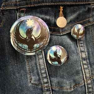 Northern Lights Minnesota Rebel Loon, Minnesota Pride, Ice Out MN, No Kings Button, Pin