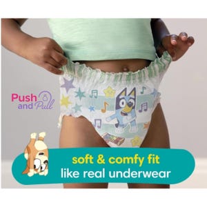 May include: Pull-up diaper with a light blue background, featuring a cartoon dog character, musical notes, and stars. The text "soft & comfy fit like real underwear" is displayed on a teal banner. The brand name "Push and Pull" is also visible.