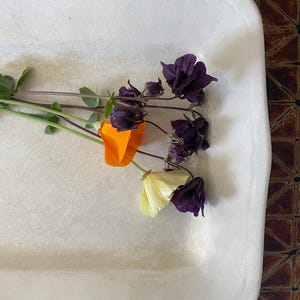 Large Rectangular Ironstone Platter Late 19th Century