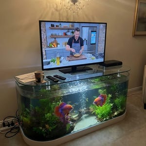 Aquarium TV Möbel – Weißer Konsolenschrank mit integriertem Aquarium