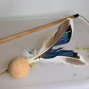 Diy feather cheap cat toy