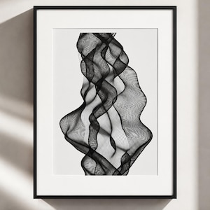 May include: A framed wall art piece featuring a black and white abstract design. The artwork consists of intricate, fine black lines that create a series of overlapping, vertical wave-like patterns against a solid white background, enclosed in a thin black frame.