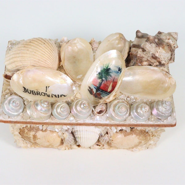 Handmade Lidded Shell Trinket Box