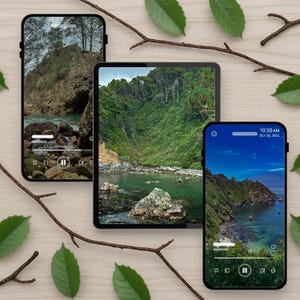 Puede incluir: Tres dispositivos electrónicos que muestran imágenes de paisajes costeros. Una tableta y dos teléfonos inteligentes muestran una costa rocosa con exuberante vegetación verde y agua azul clara. Los dispositivos están dispuestos sobre una superficie de madera clara con ramitas y hojas verdes.