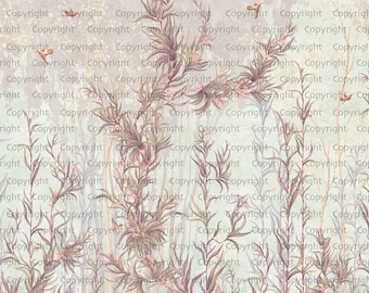 Limonium Flowers Design Mural Wallpaper, Available In Various Paper Texture, Code Se317. It Is Produced As 105 Cm Wide Roll Panels.