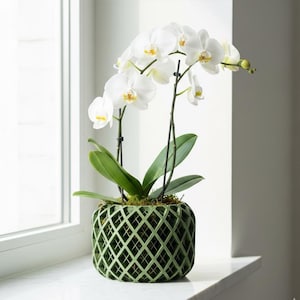 May include: A potted orchid with white flowers and green leaves. The plant is in a green, lattice-patterned pot. The pot sits on a white windowsill next to a window.