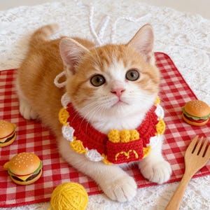 Könnte beinhalten: Ein orange-weißes Kätzchen trägt ein rot-gelb-weiß gehäkeltes Halsband mit einer Pommes-Tasche. Miniatur-Hamburger-Spielzeuge und eine Holzgabel liegen in der Nähe auf einer rot-weiß karierten Oberfläche.