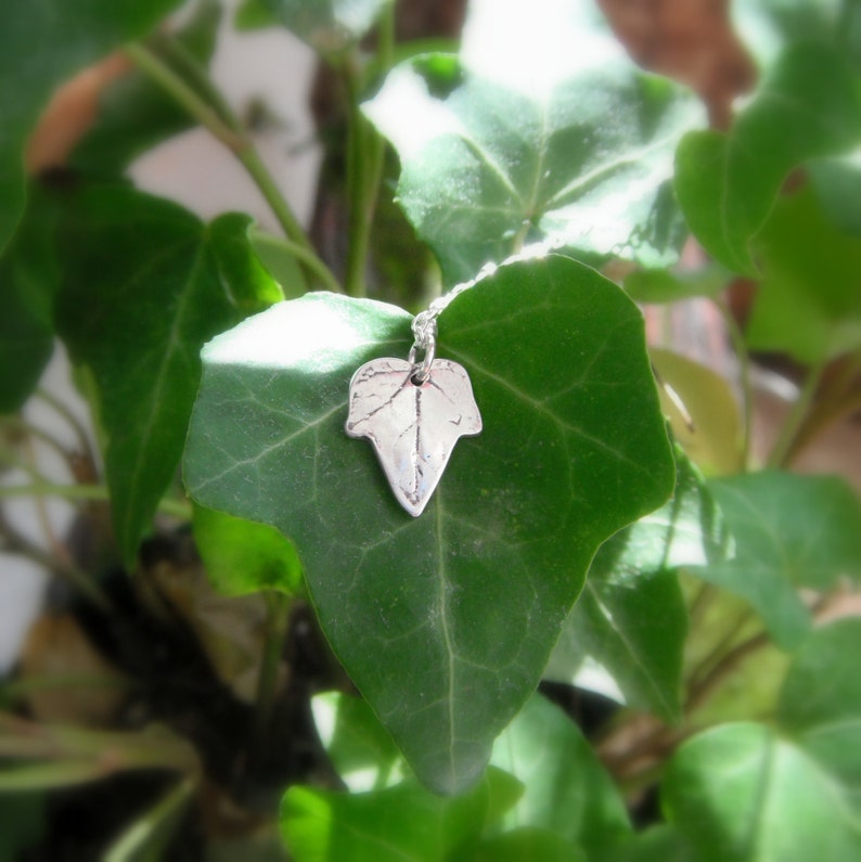 Tiny Ivy Leaf Necklace, Botanical Jewelry, Real Leaf Necklace, Artisan Crafted Recycled Silver, Silvan Leaf, Woodland Leaf, Forest image 5