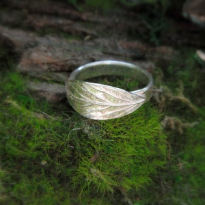 Leaf Ring Real Leaf Ring Woodland Leaf Ring Elven Leaf Ring Silvan Leaf Artisan Handcrafted Recycled Fine Silver Silvan Arts image 5