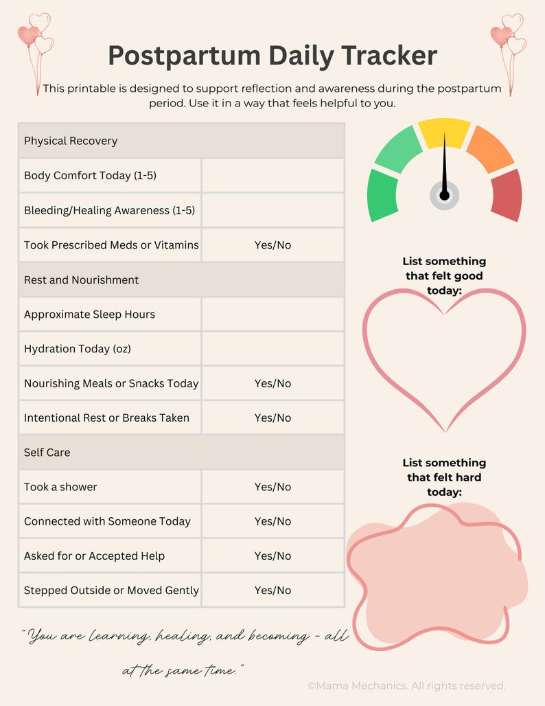Postpartum Daily Tracker Printable | New Mom Wellness Log (instant ...