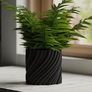 May include: A vibrant green fern plant in a black, textured, cylindrical pot. The pot has a swirling, grooved design. The plant is placed on a white surface near a window.