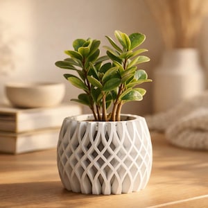 Lattice Succulent Planter, Geometric Planter Pot, Modern 3D Printed Plant Pot, Minimalist Home Decor, Small Indoor Planter, Desk Plant Pot