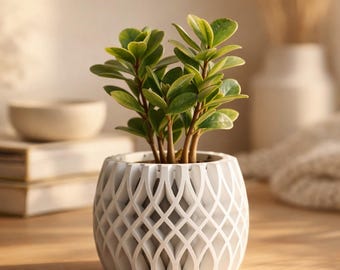 Lattice Succulent Planter, Geometric Planter Pot, Modern 3D Printed Plant Pot, Minimalist Home Decor, Small Indoor Planter, Desk Plant Pot